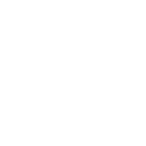 lindr logo white